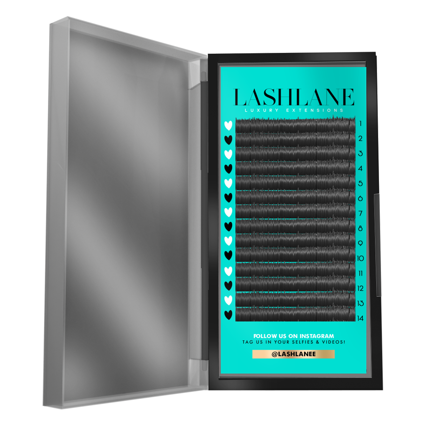 Single Lash Tray